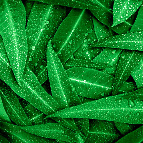 Aquavibe Lavanda Body Splash 300ml - Avon