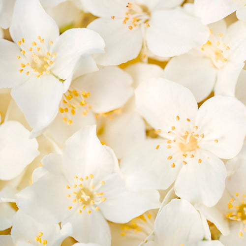 Aquavibe Lichia e Baunilha Body Splash 300ml - Avon