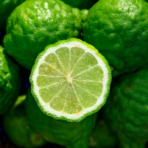 Aquavibe Chypre Body Splash 300ml - Avon