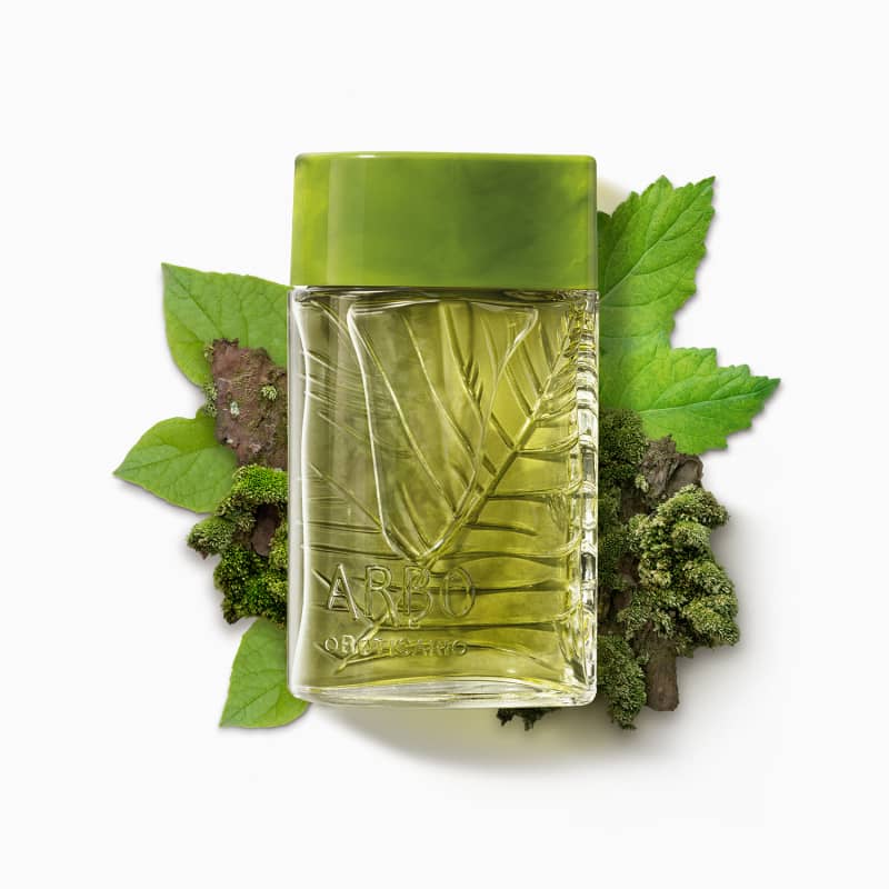 Arbo Forest Desodorante Colônia 100ml - oBoticario